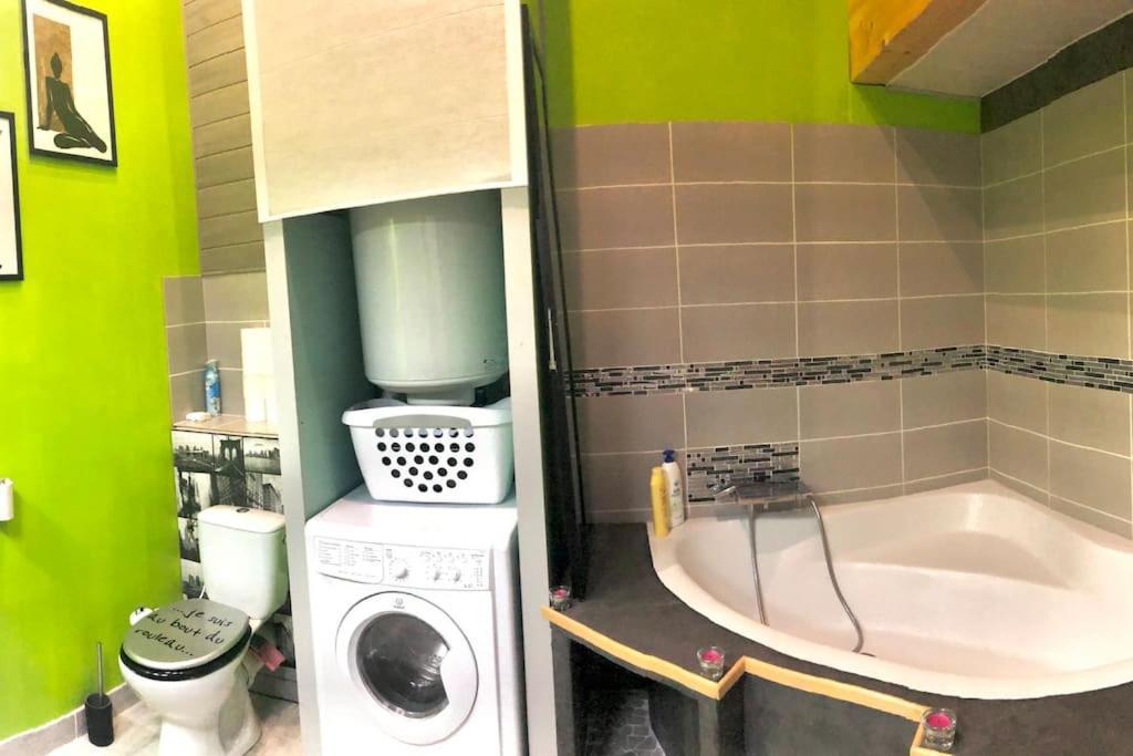 Duplex Atypique 20' De Toulouse Lägenhet Leguevin Exteriör bild